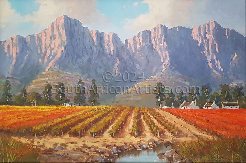 Western Cape Winelands