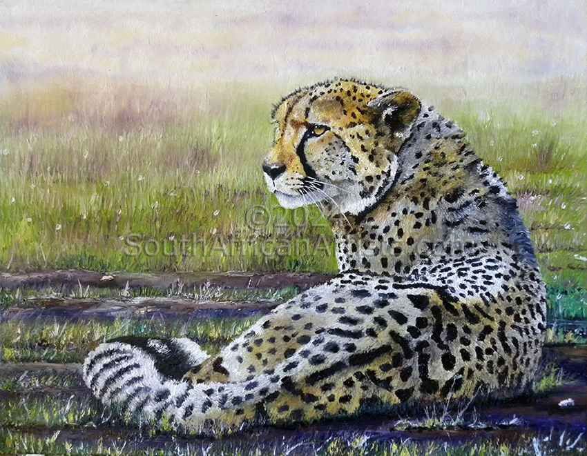 Savannah Cheetah 2