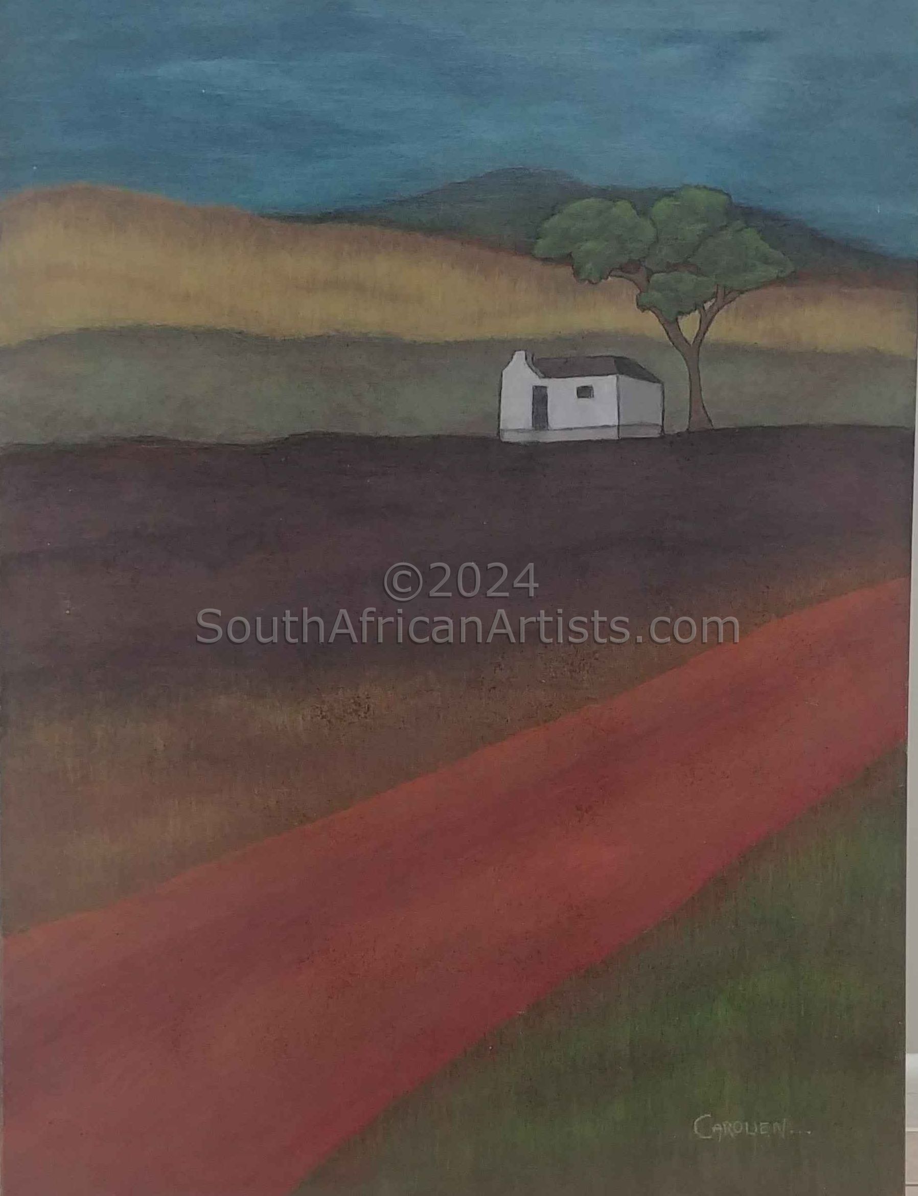 Farmhouse and Tree on Overberg Fields and Road