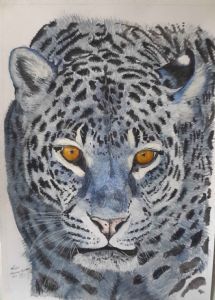 "Blue Leopard"