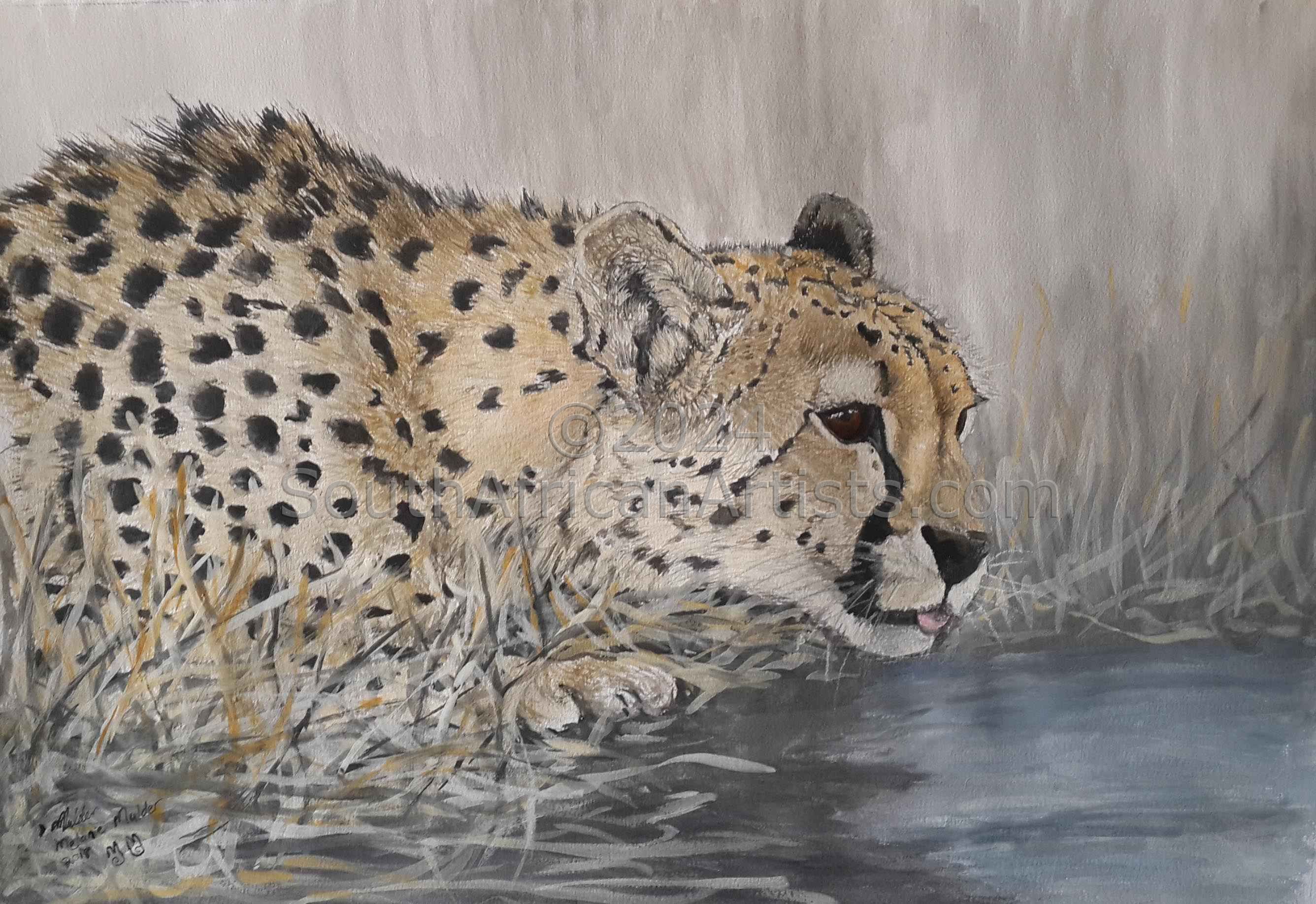 Happy Hour, Leopard Drinking water