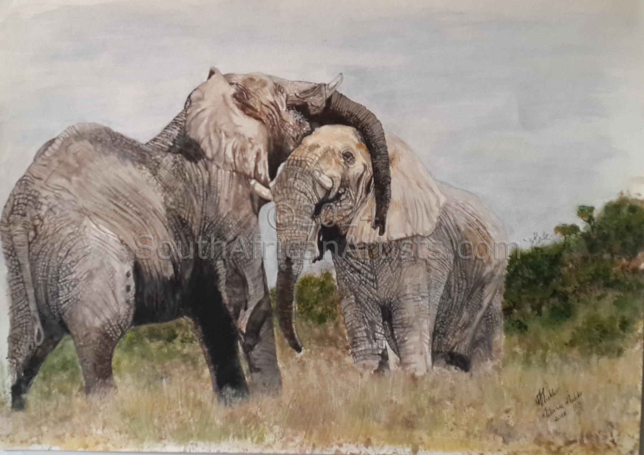 Elephants: Old Friends