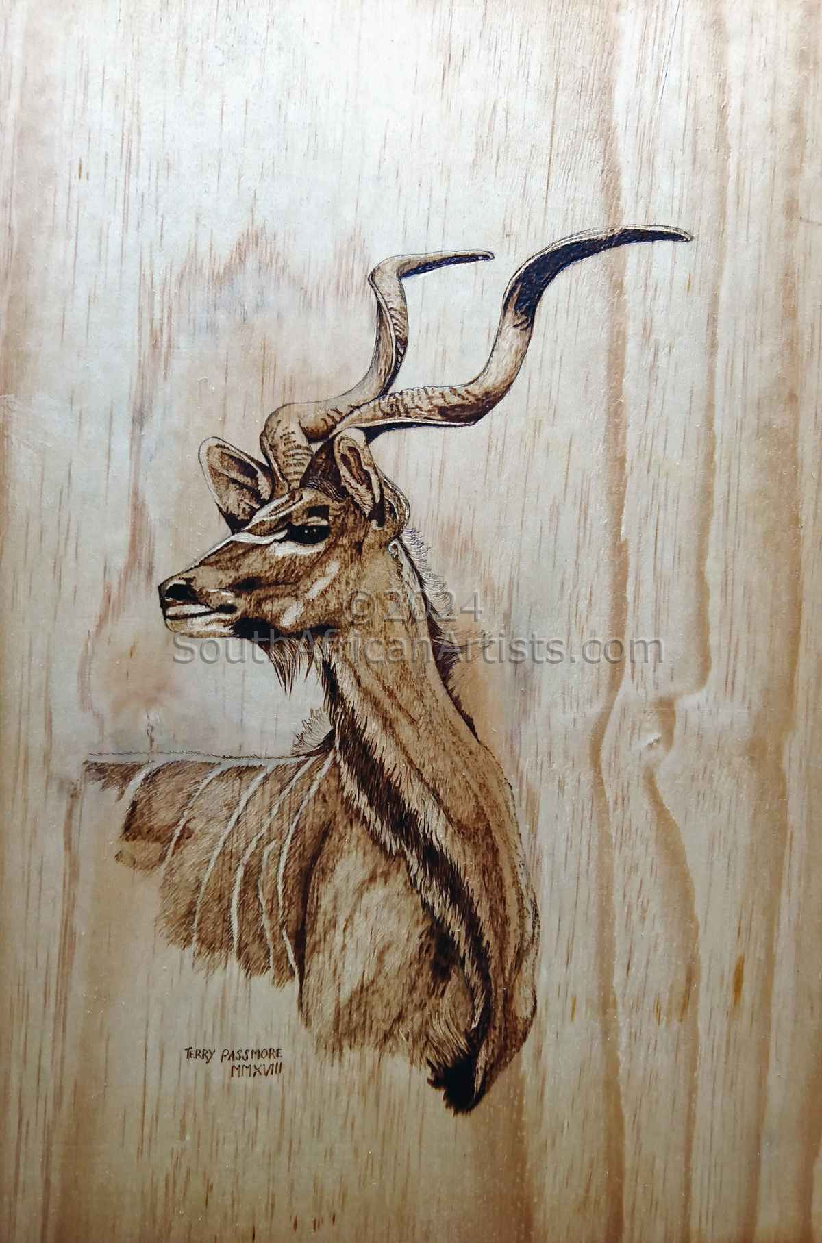 Kudu Splendour