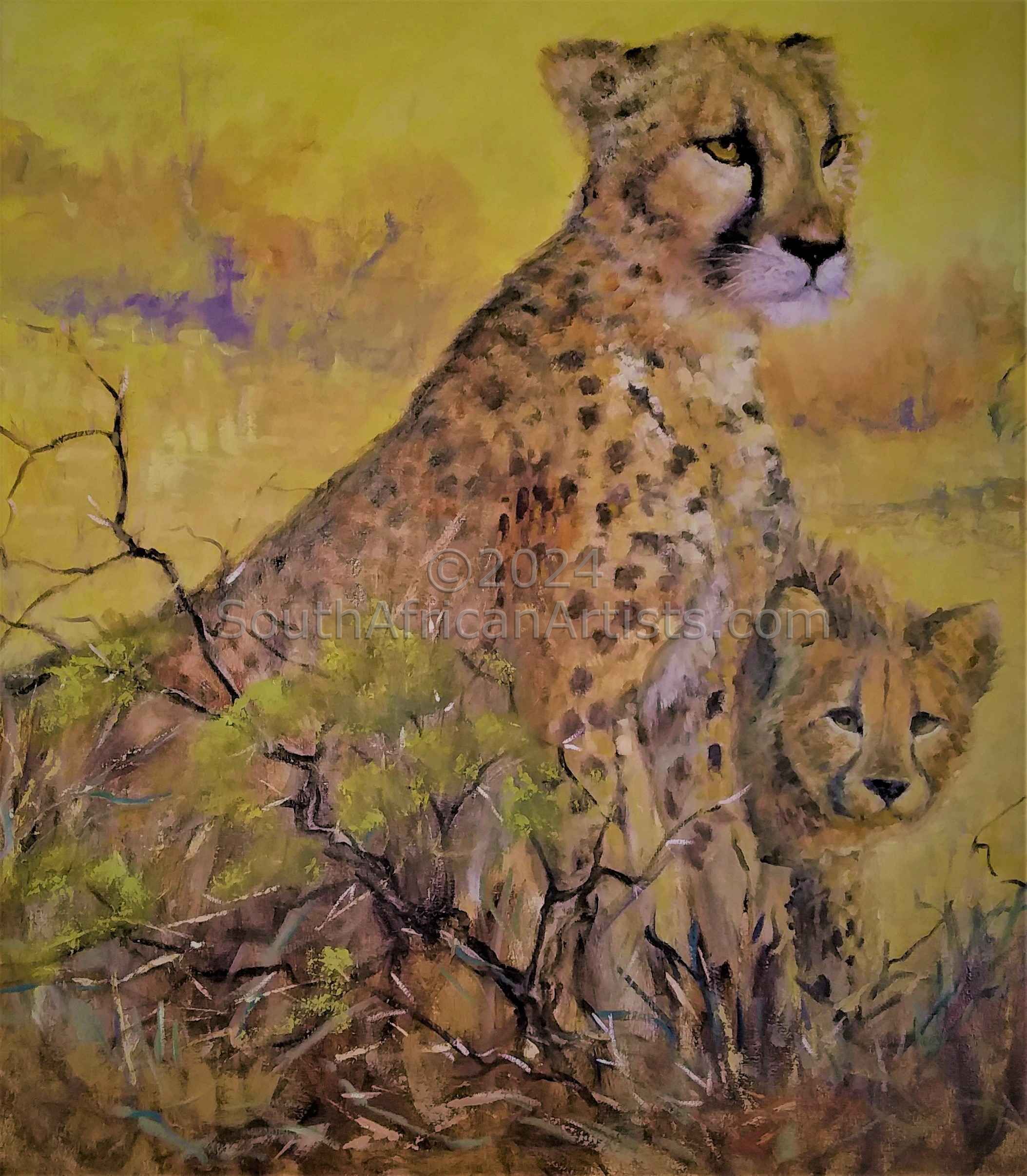 Cheetah and Curious Cub