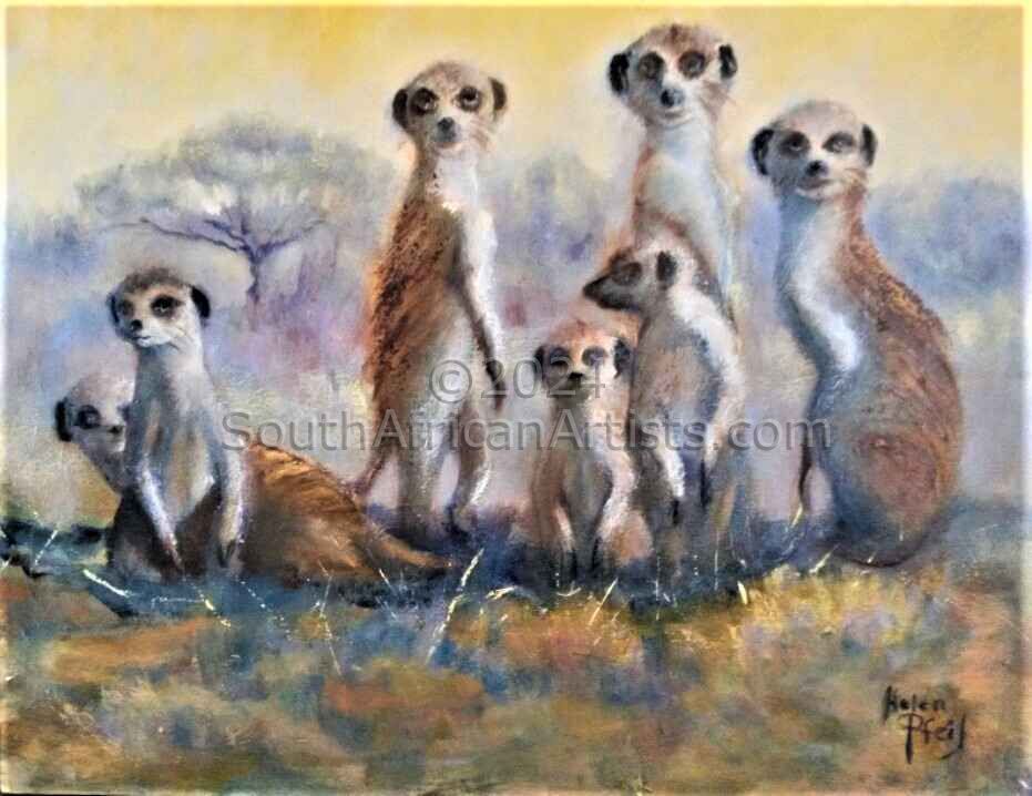 Meercat Family in the Morning Sun