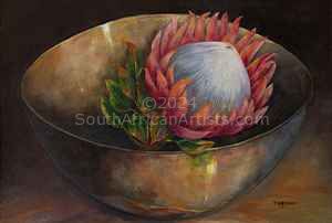 Protea in Bowl
