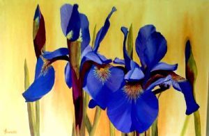 "Blue Iris"
