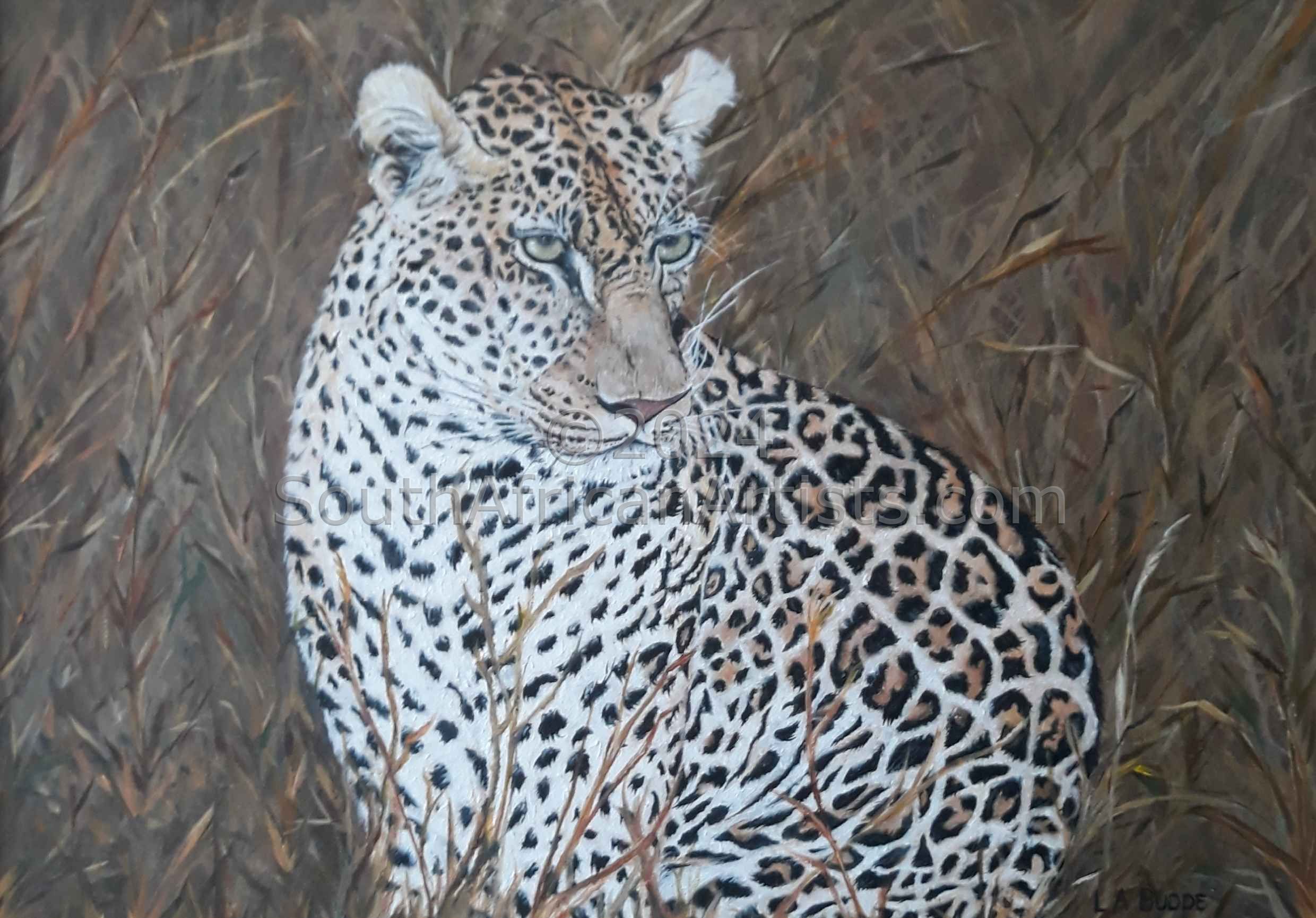 Ingwe (Leopard)