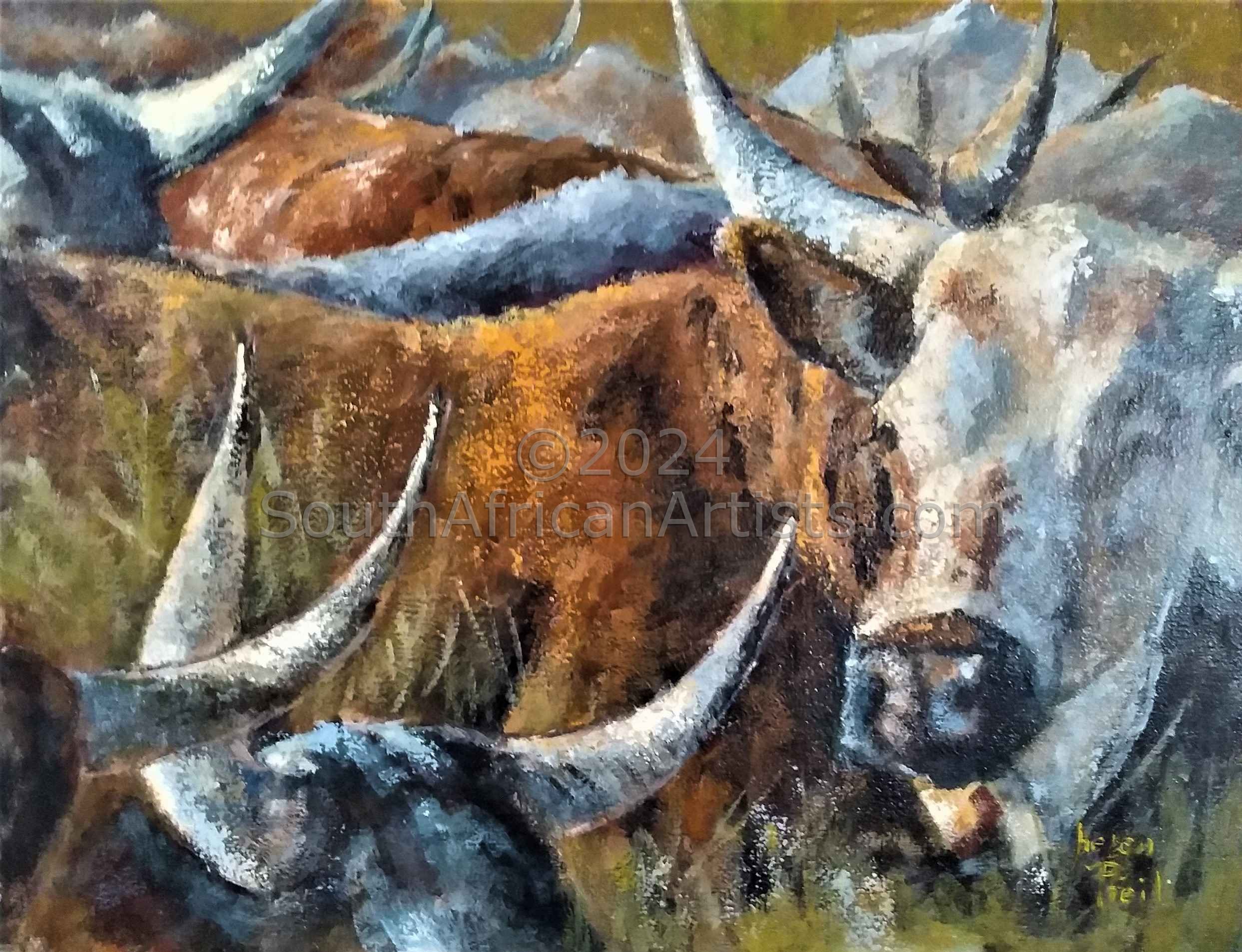 Horns (Nguni Cattle)
