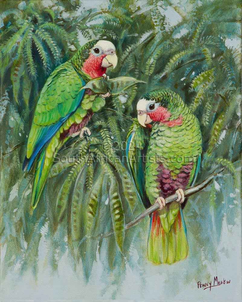 Cuban Amazon Parrots