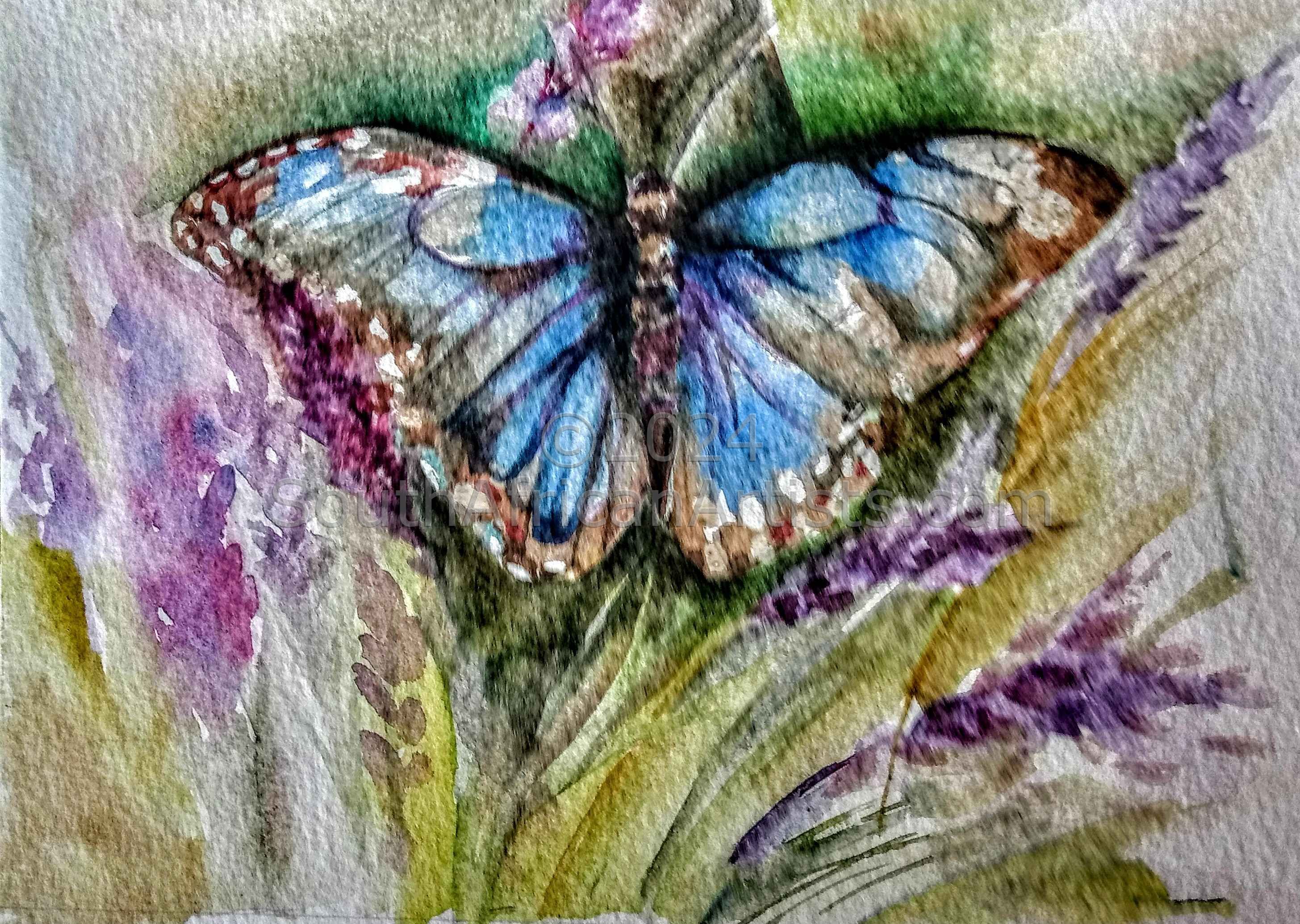 Brenton Blue butterfly