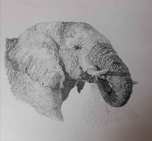 "The Elephant"