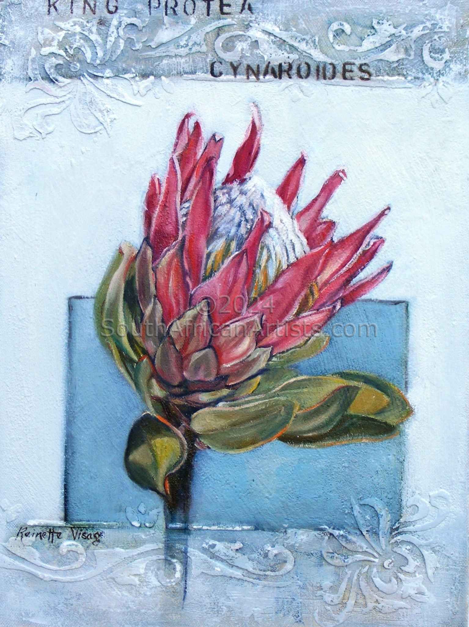 One Pink Protea