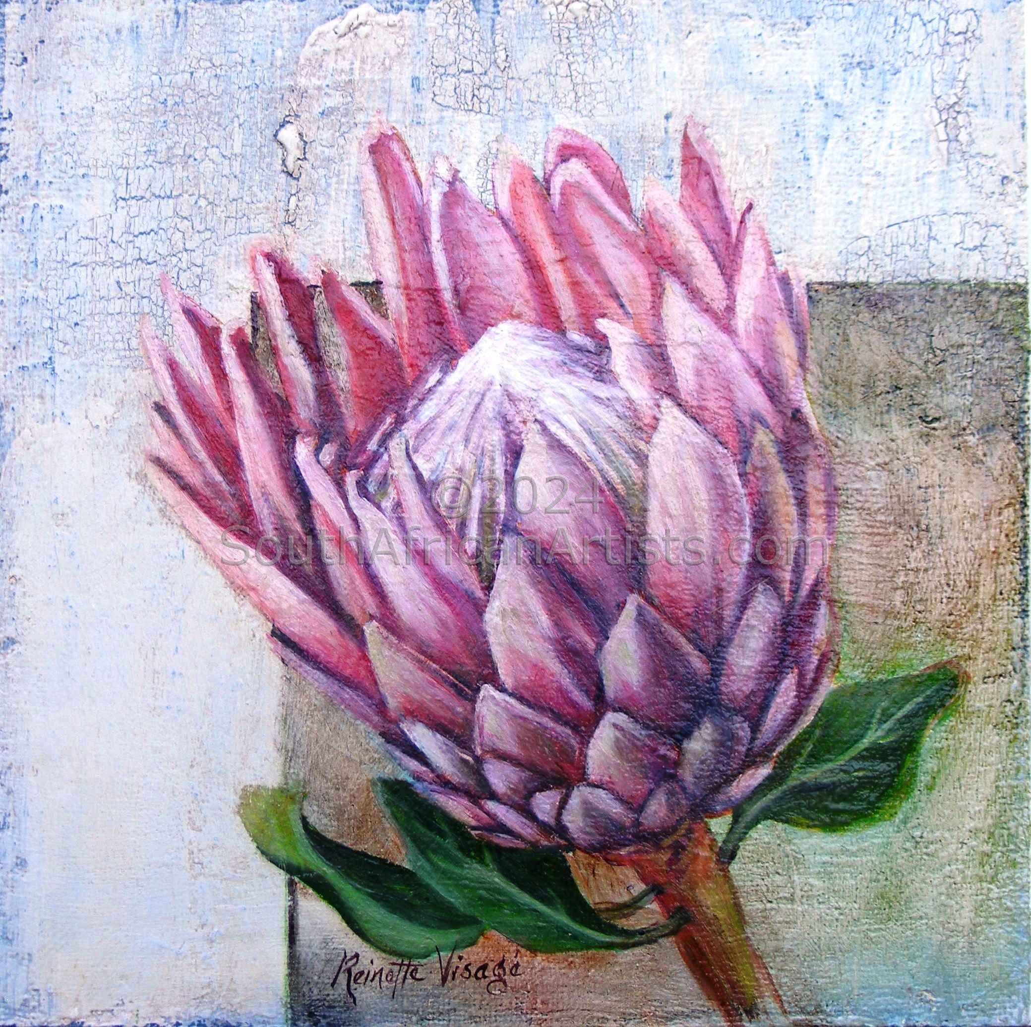 Protea on Aged, Crackled Surface-Board