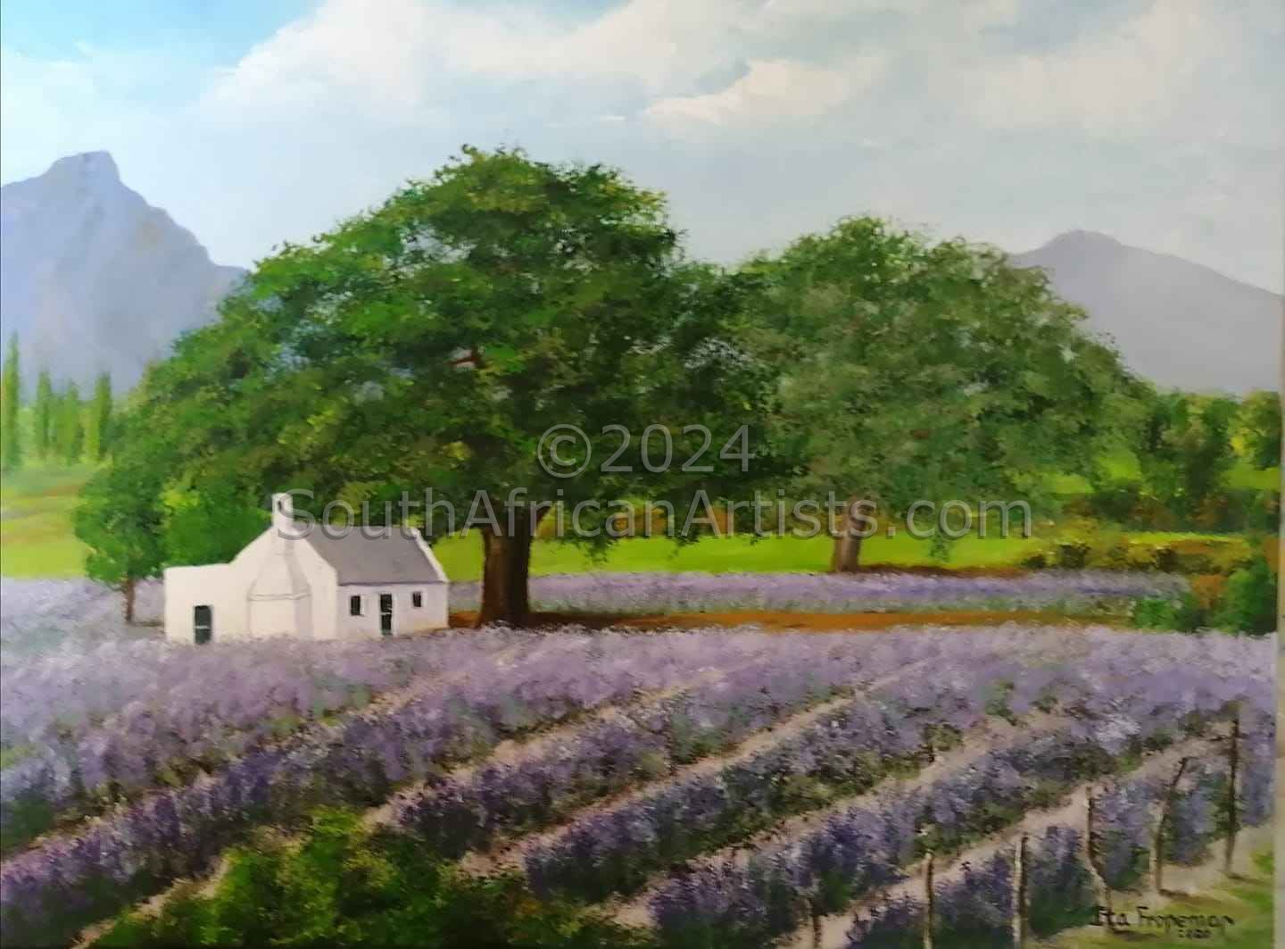 Franschhoek Lavender Farm