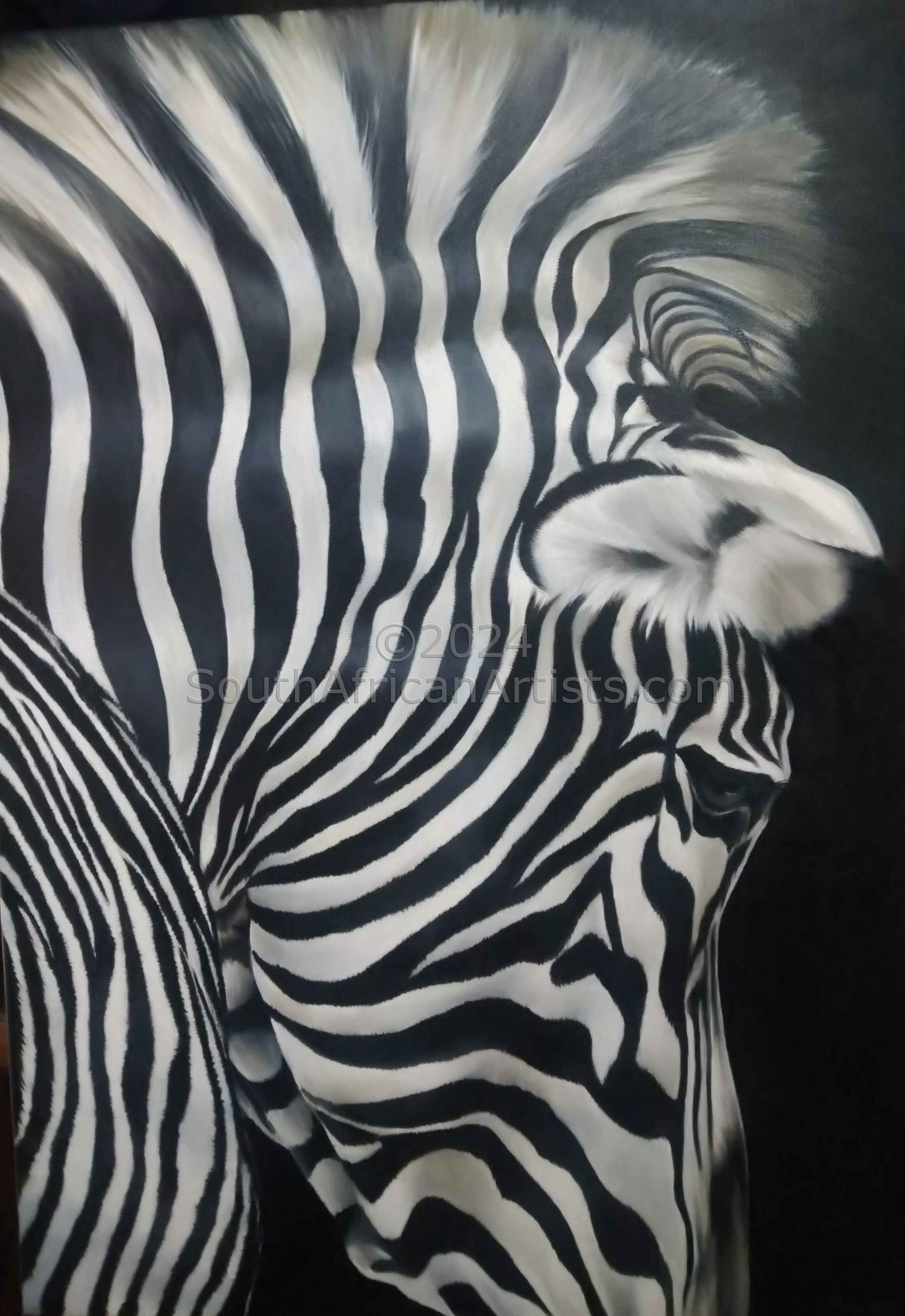 Zebra Up Close 