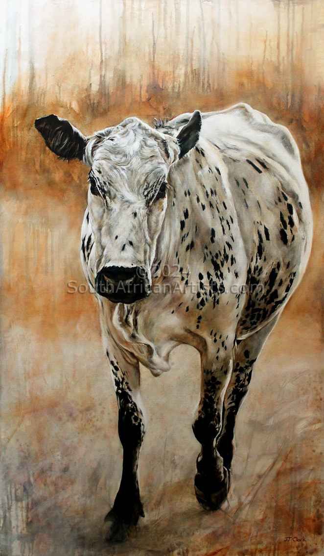 Nguni Cow - Thelma