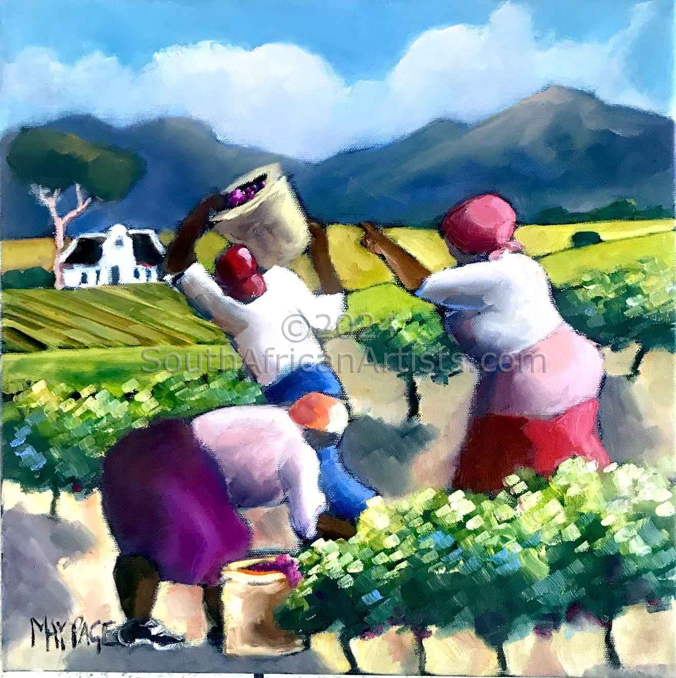 Grape Pickers with Cape Dutch House in Background