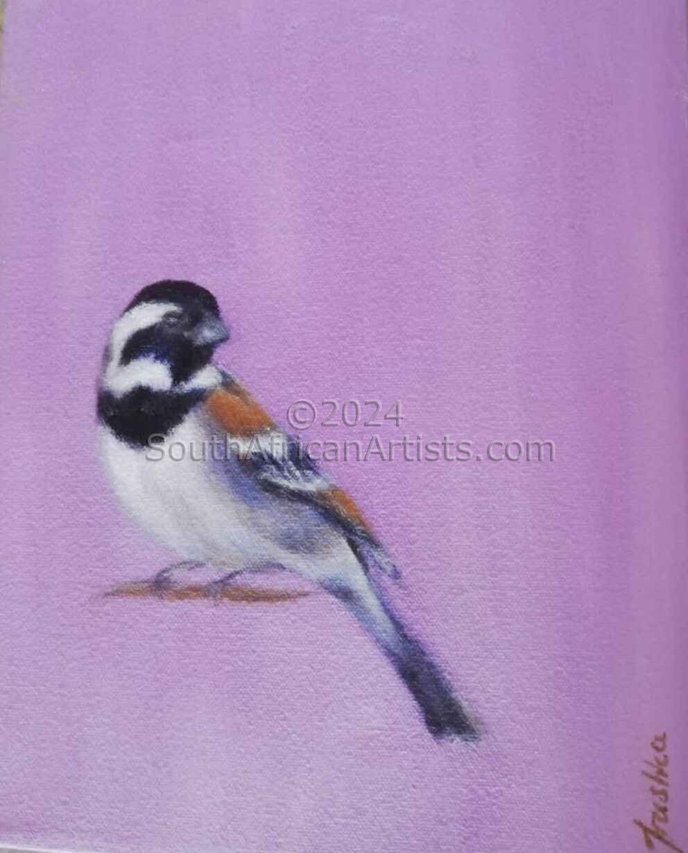 Sparrow - Lilac