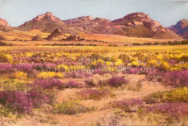 Namaqualand Spring