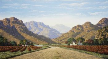 "The Western Cape Scene With Vineyard"