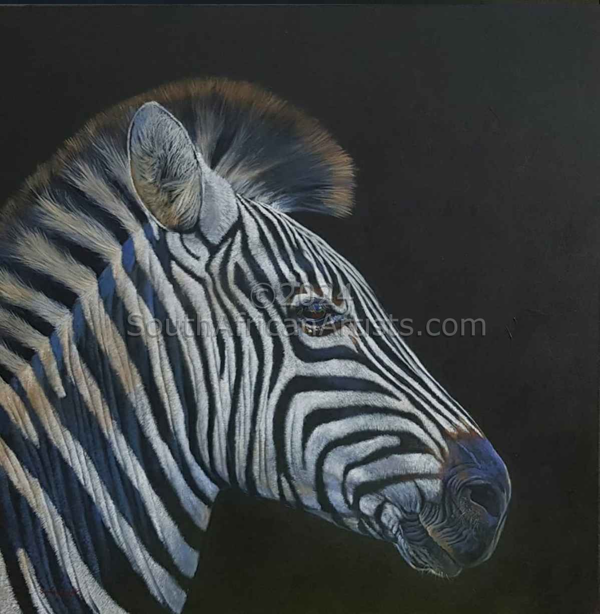 White on Black. Zebra Portrait 