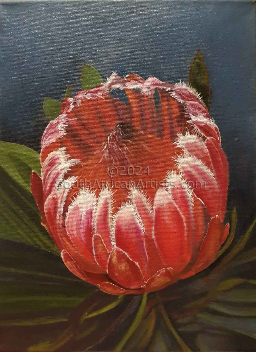 Protea with Leaves