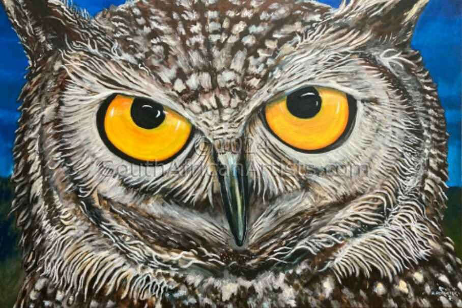Owl eyes 