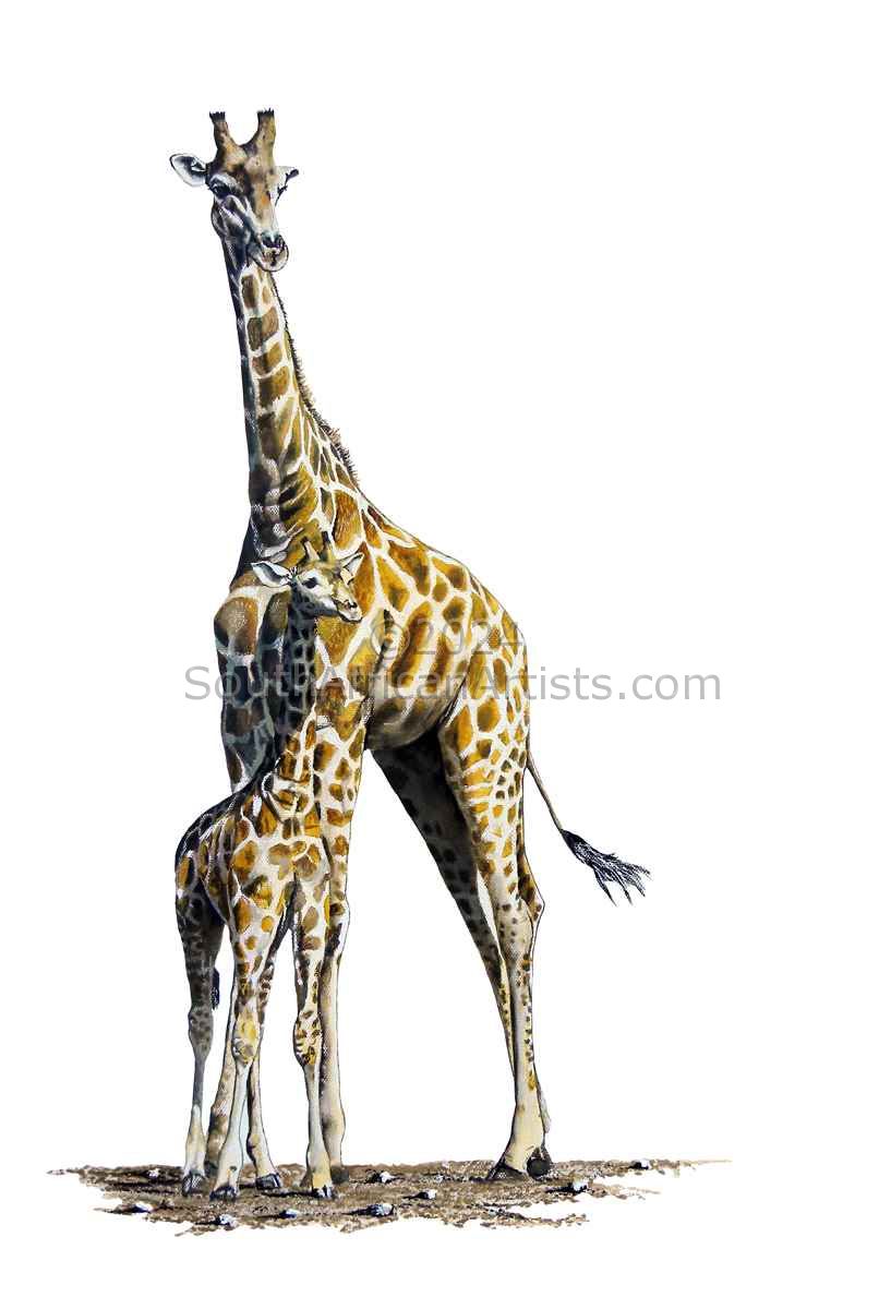 Giraffe and Baby
