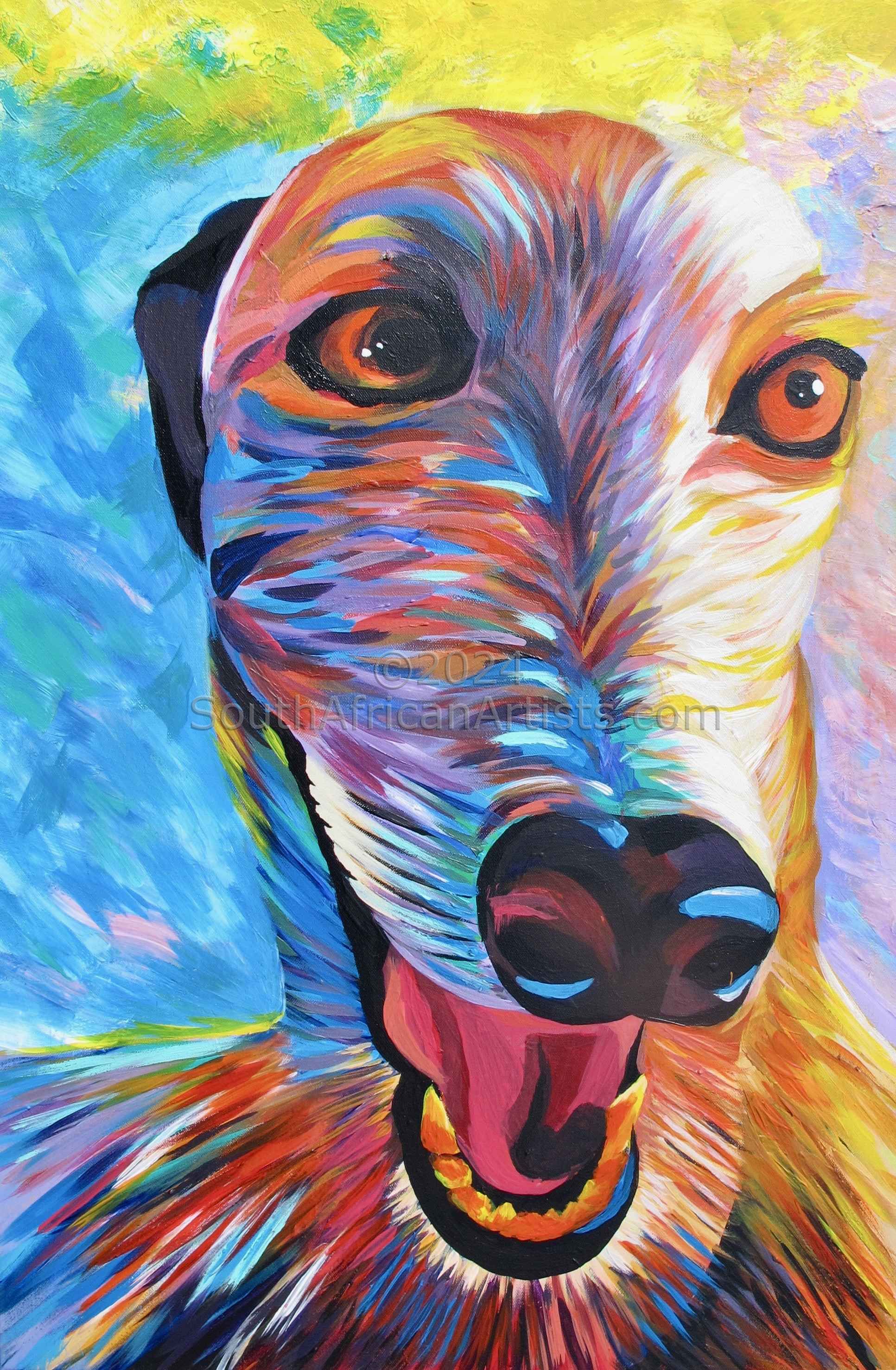 Greyhound In Colour