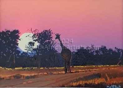 Wildlife Sunset Bushveld