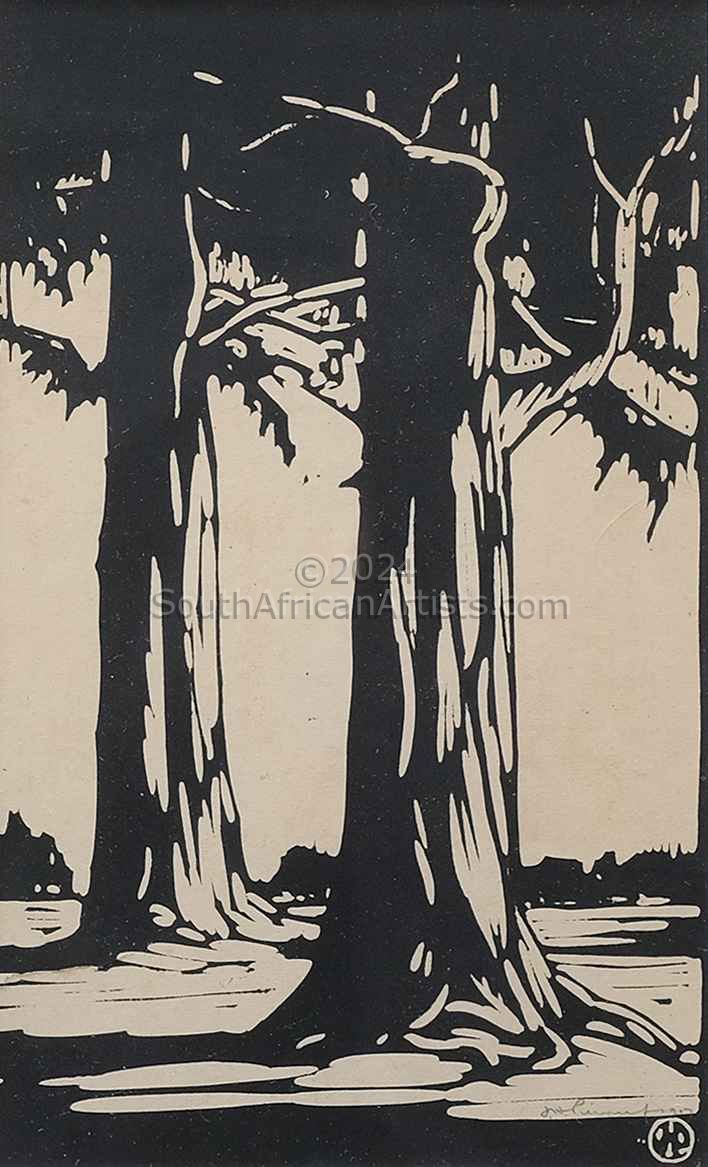 Bluegum Trees 