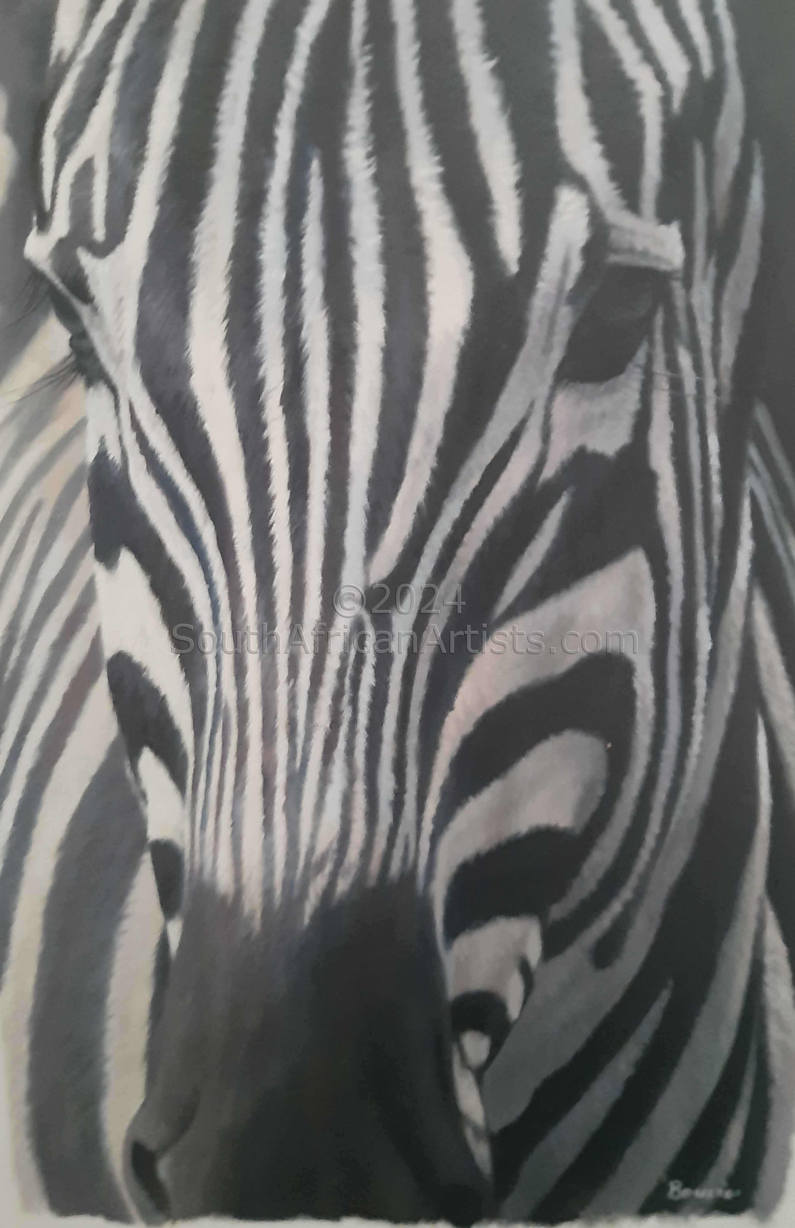 Zebra Collection Nr 1