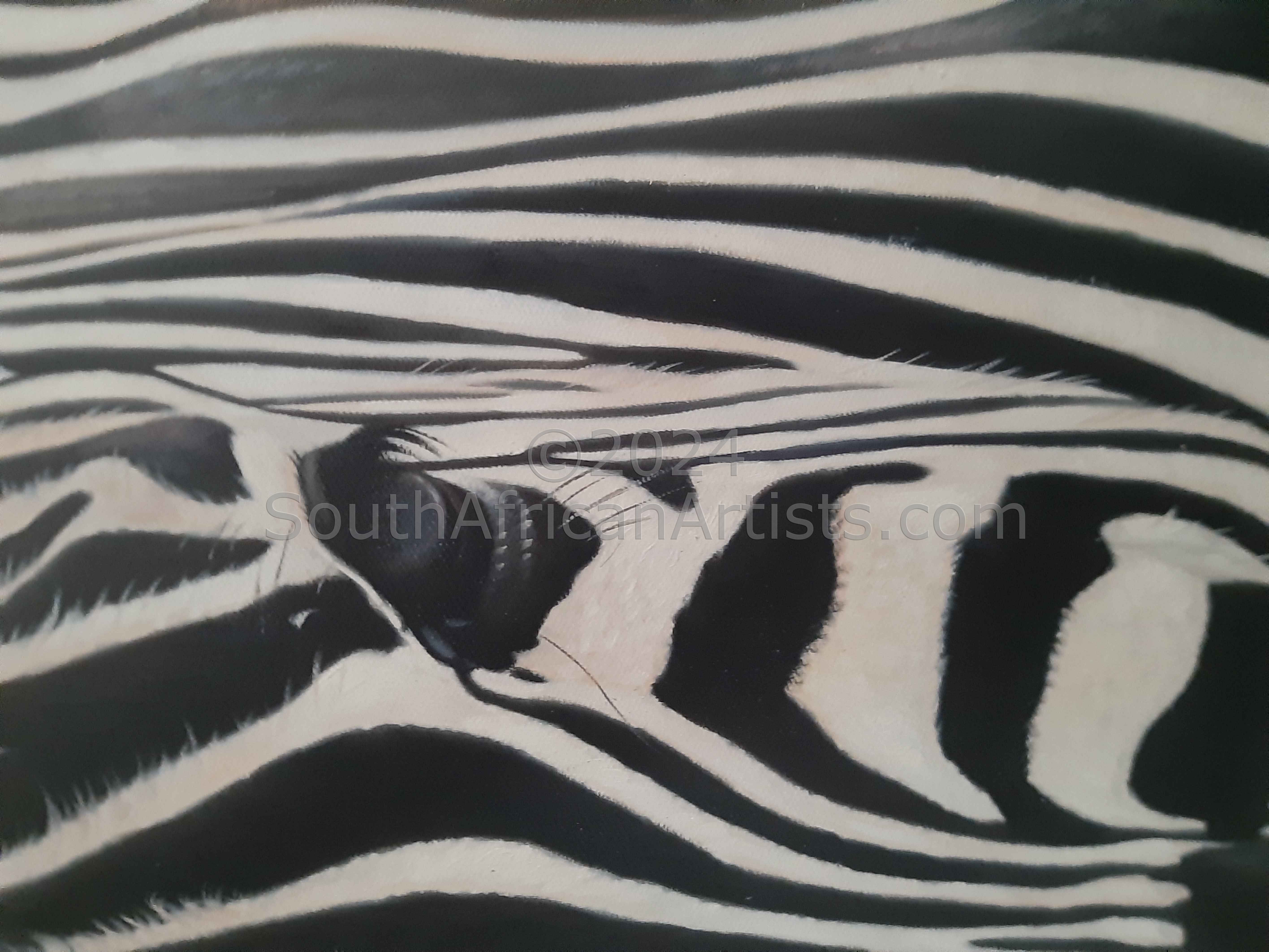 Zebra Collection Nr 2