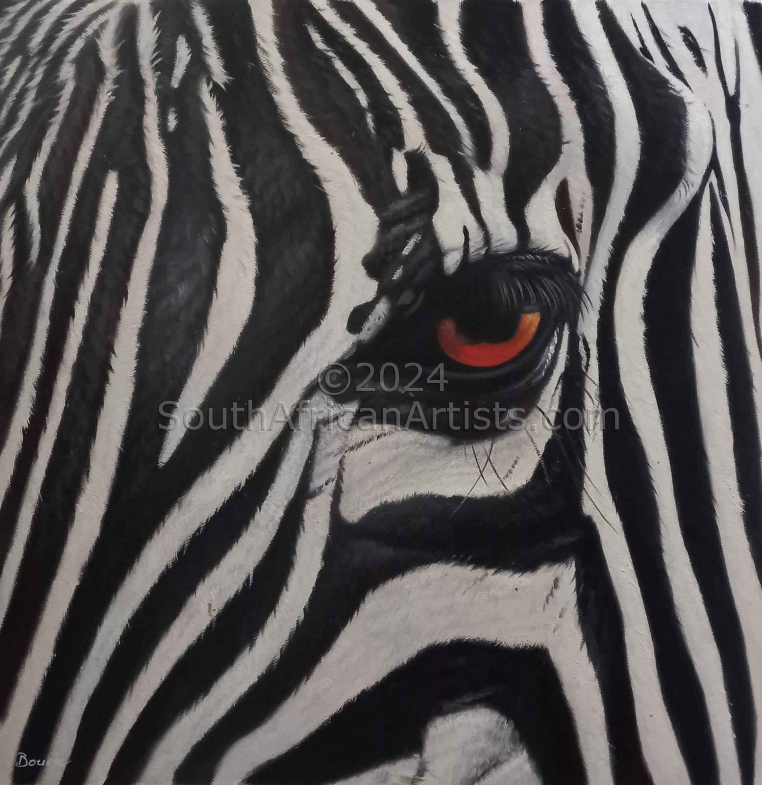 Zebra Collection No 6