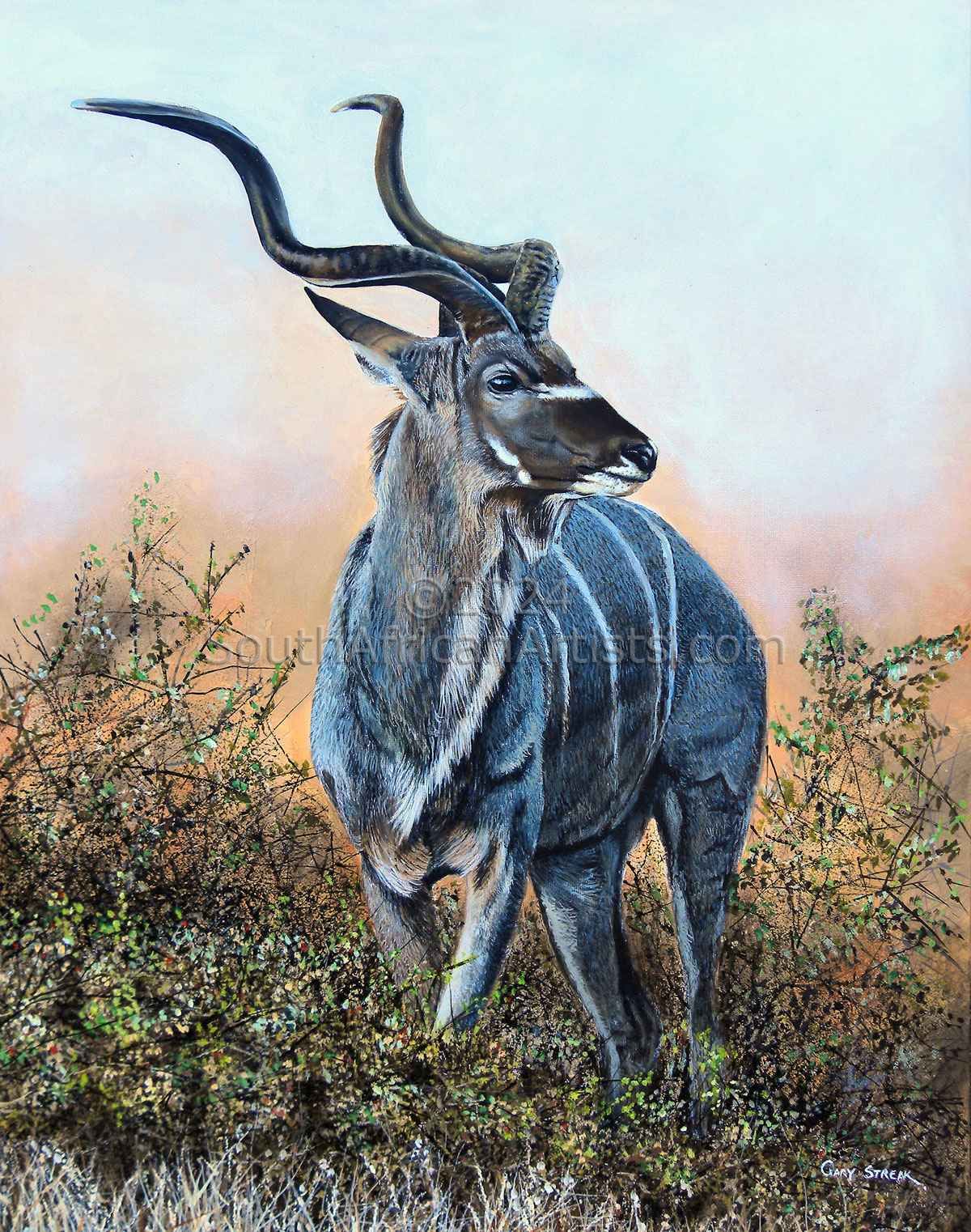 Kudu Bull at Sunset