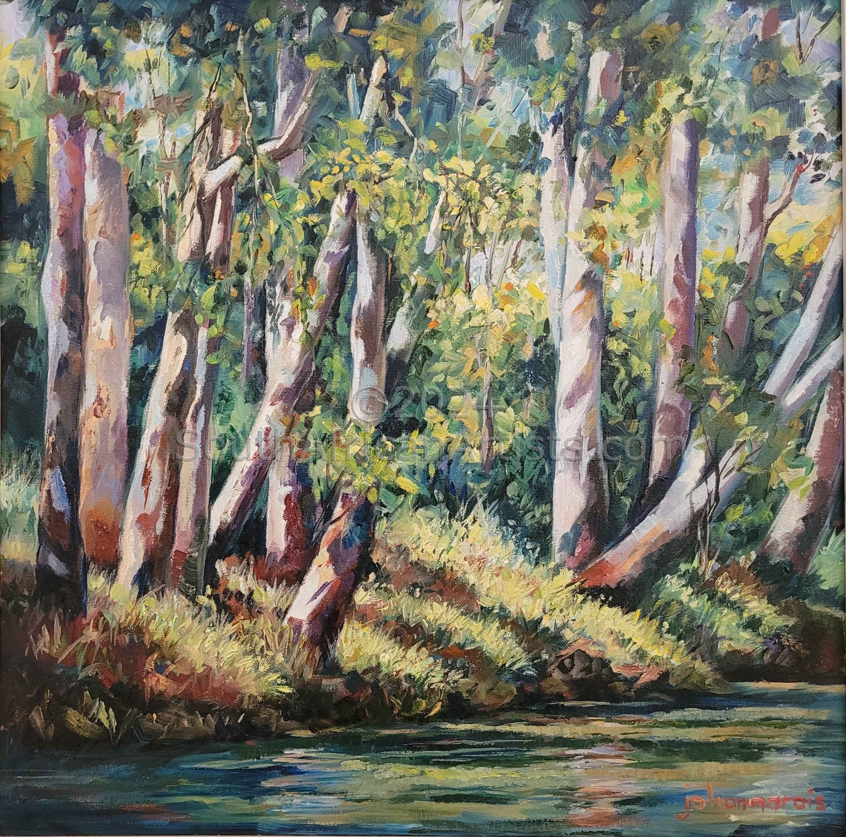 River Edge Kakadu National Park Australia