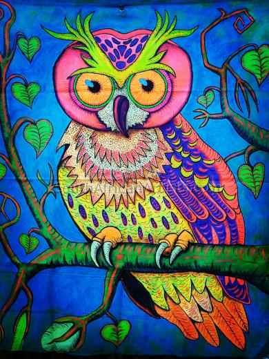 UV Owl