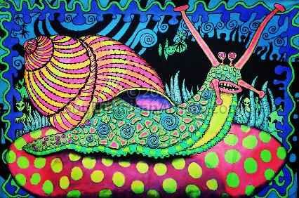 Psychedelic Snail