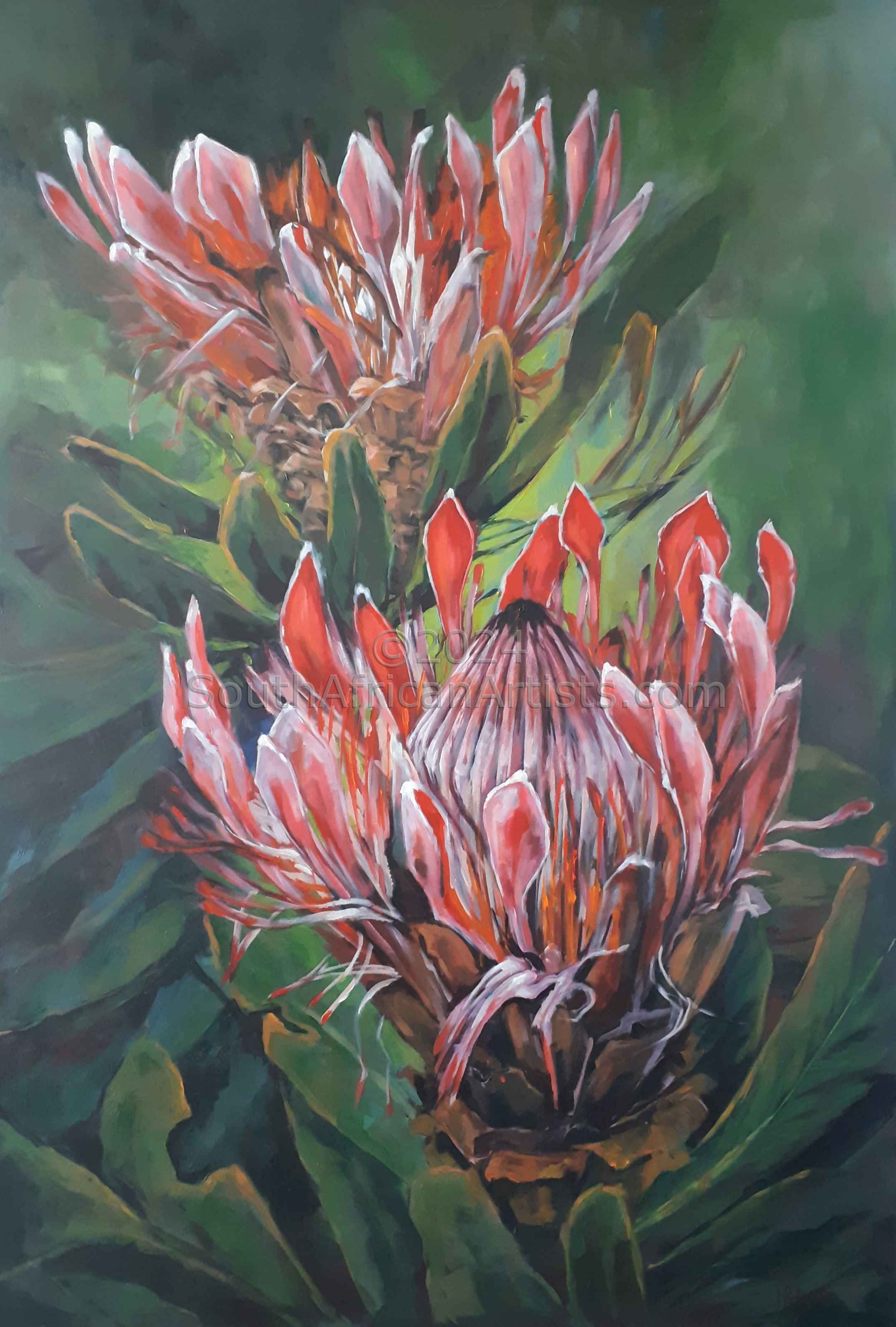 Red Proteas