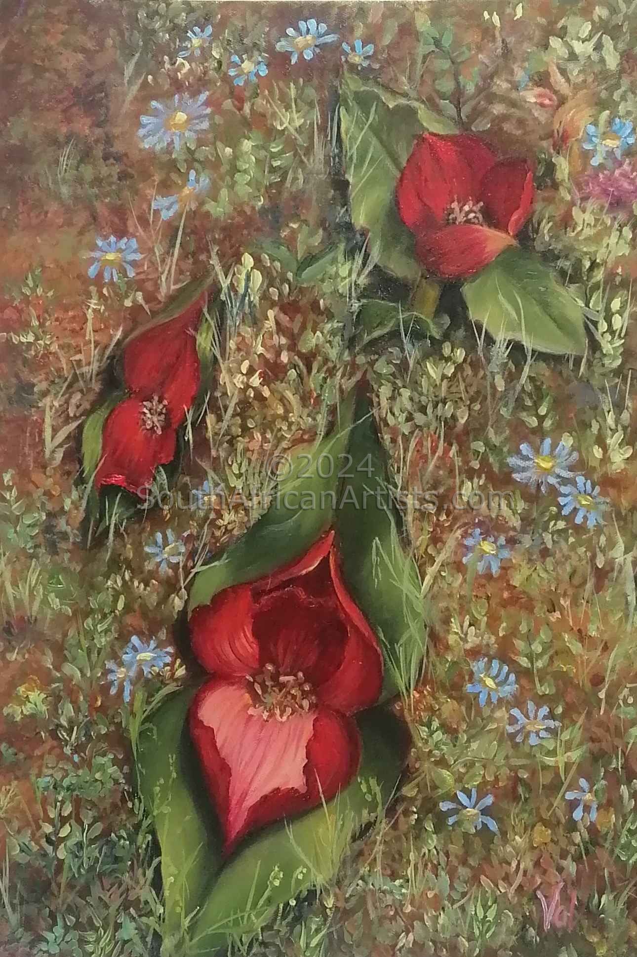 Flowers Of Namaqua 2