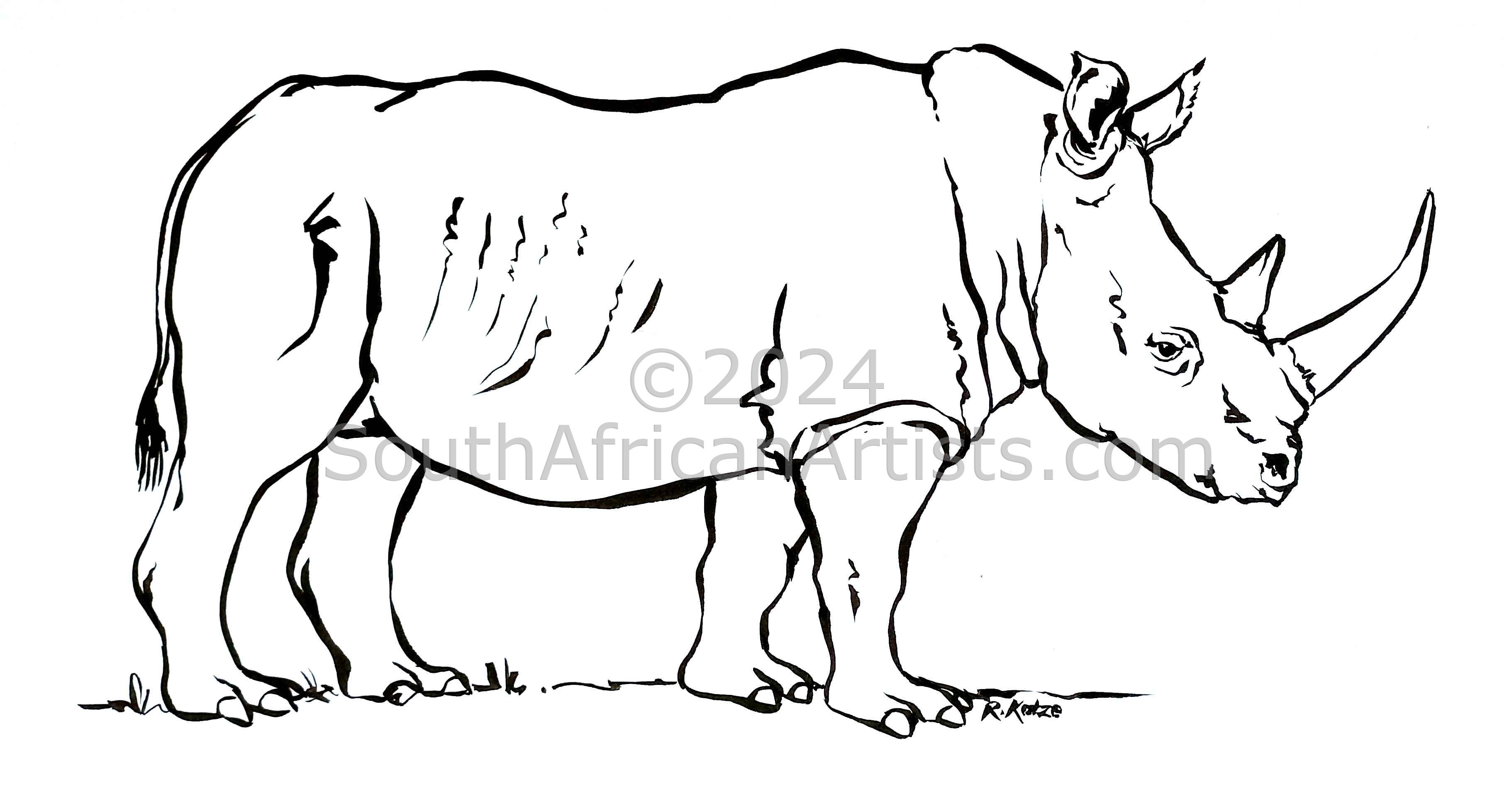  African White Rhino Ink Sketch