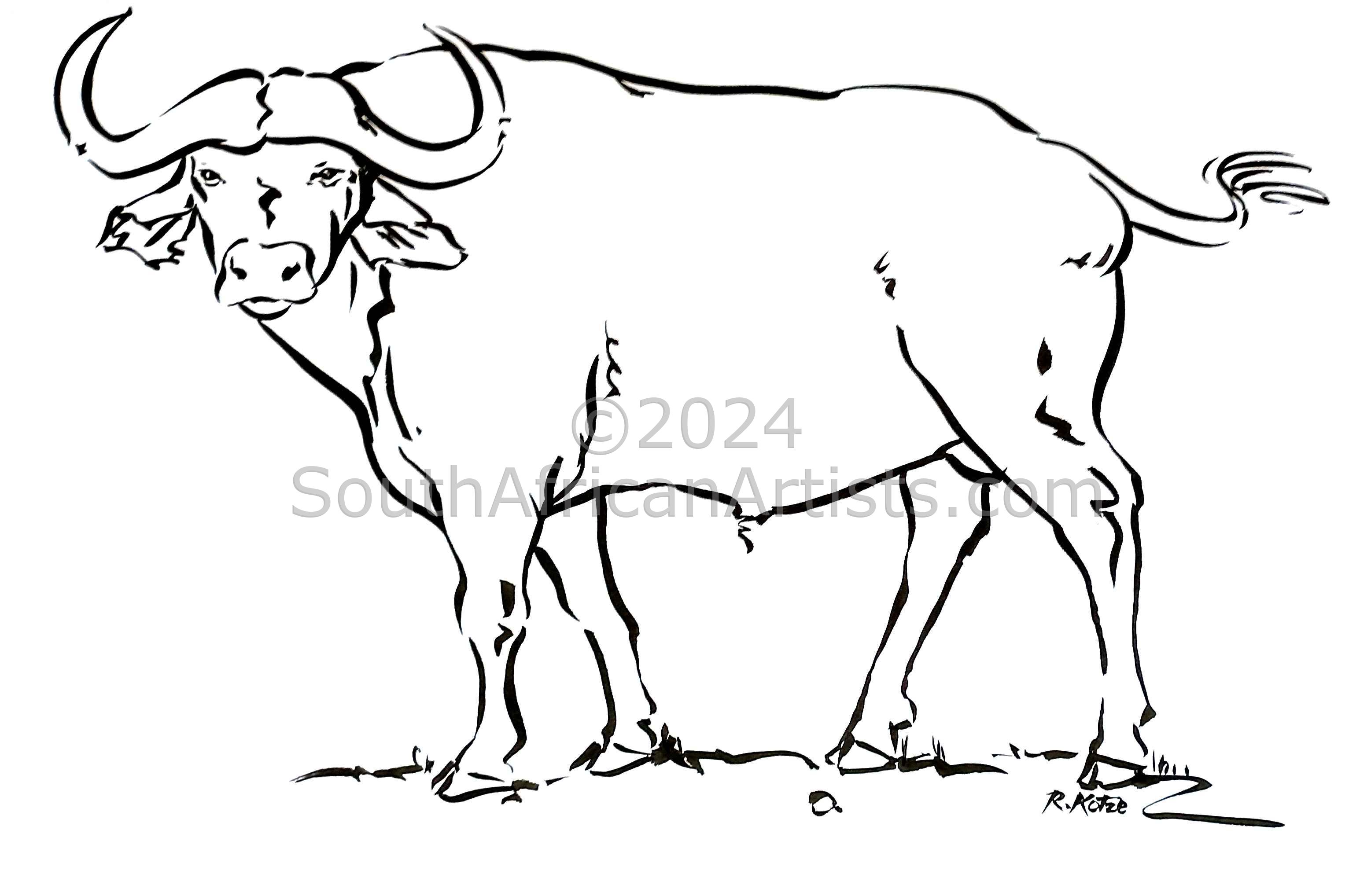 African Buffalo Ink Sketch