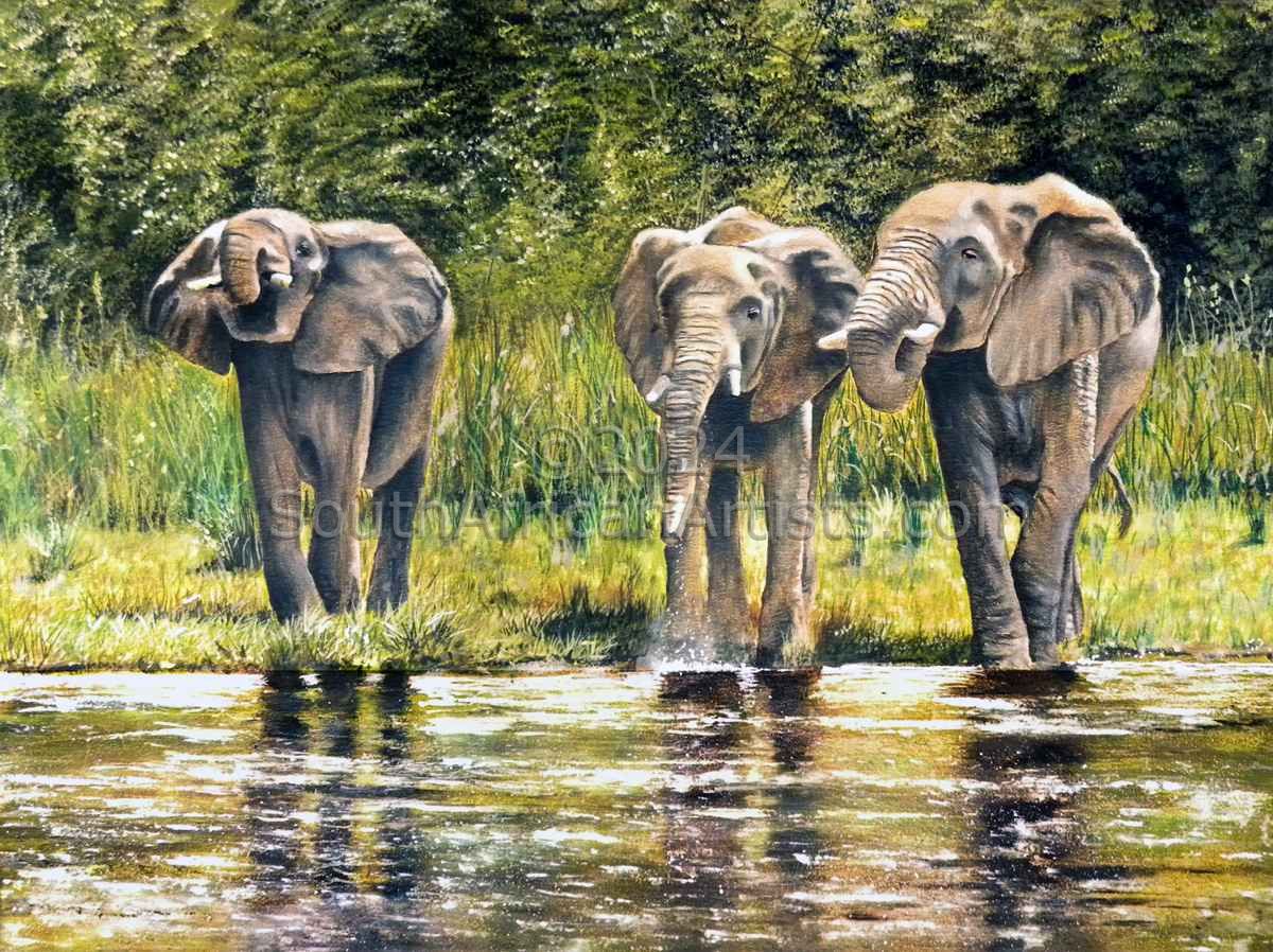 Elephants Driniking