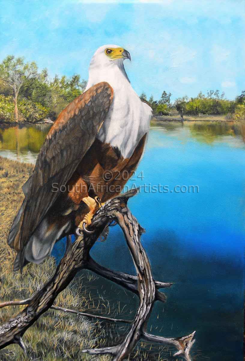 African Fish Eagle