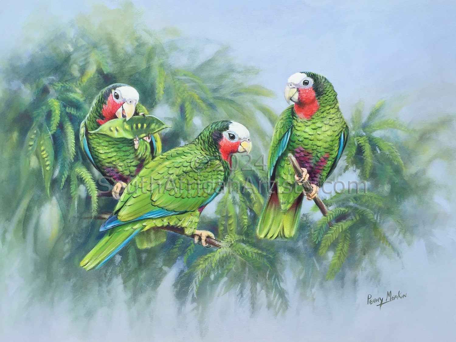 Cuban Parrot 
