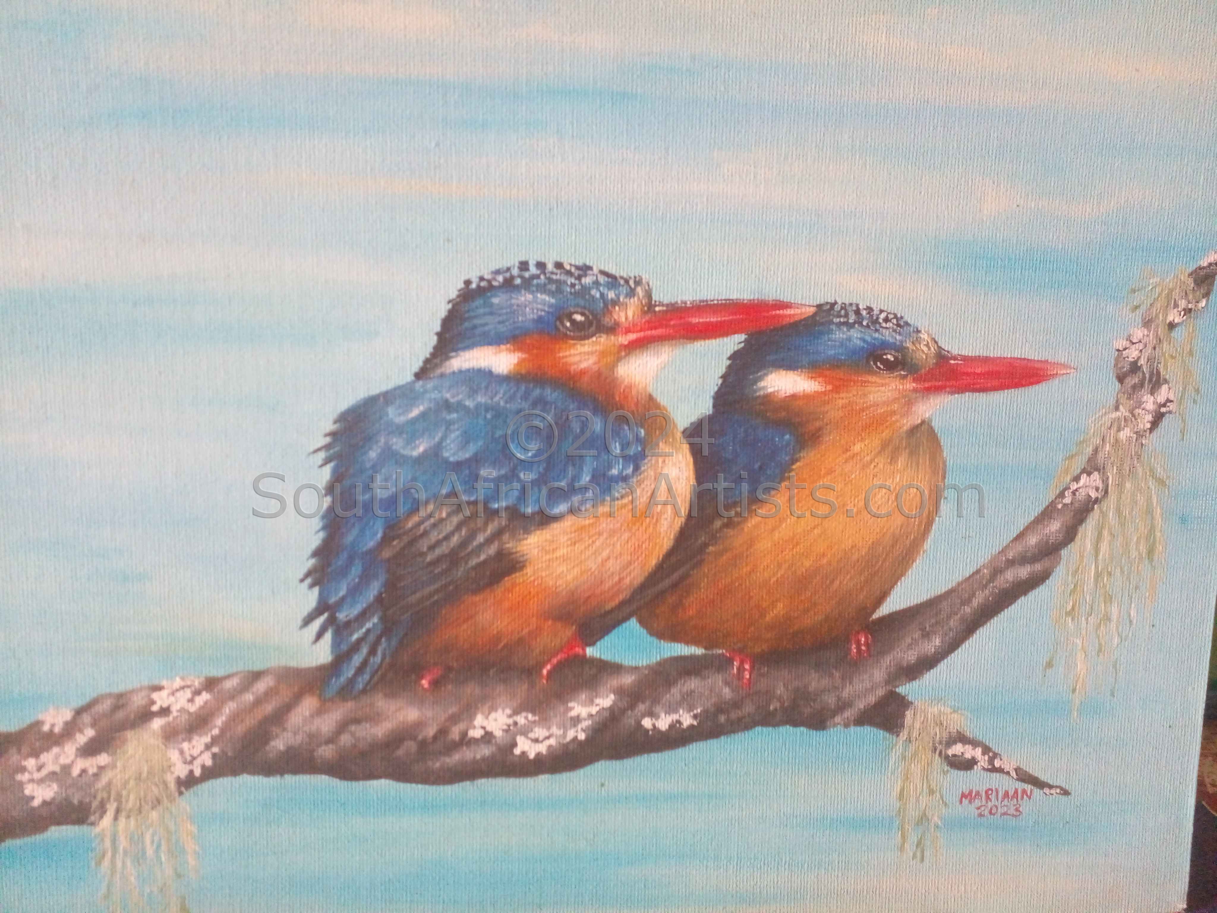 Kingfishers