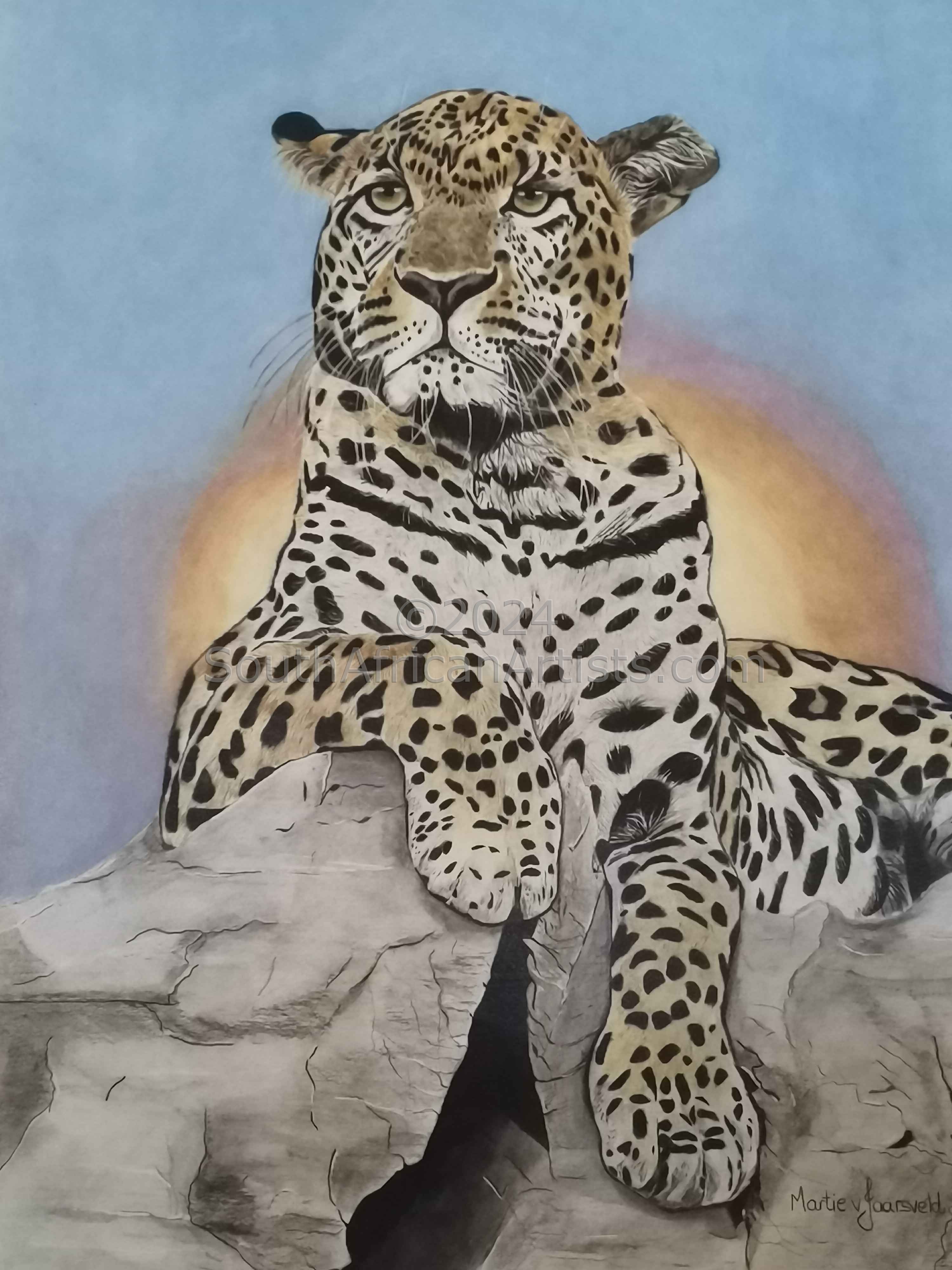 Leopard on Rock