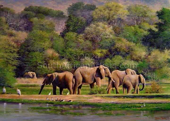Elephants, Crocodile River Near Malelane