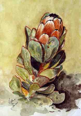 Orange Protea
